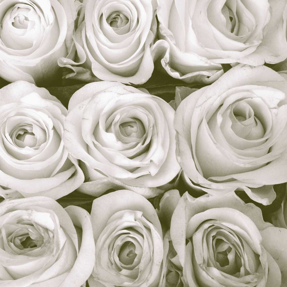 Similar wall art painting: 122690