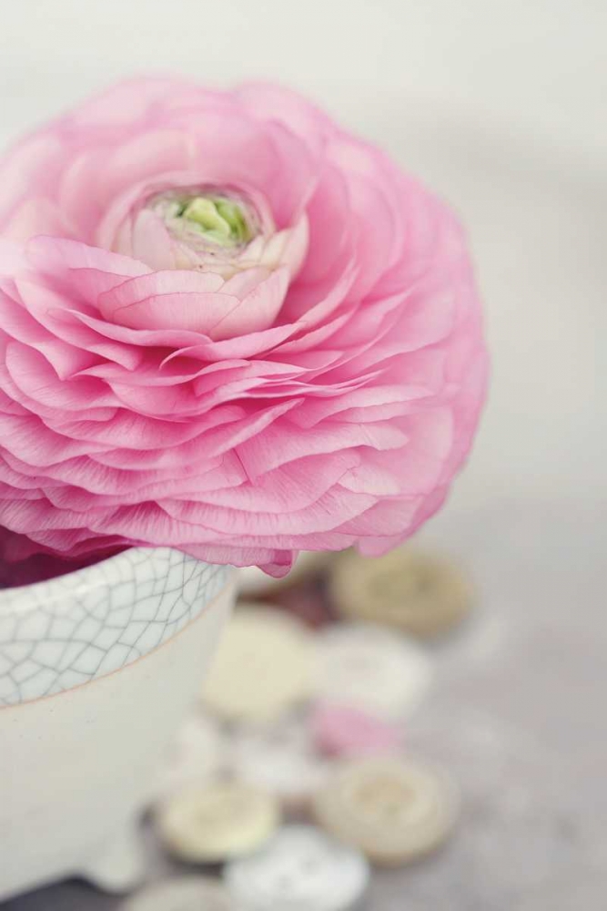 Similar wall art painting: 122742