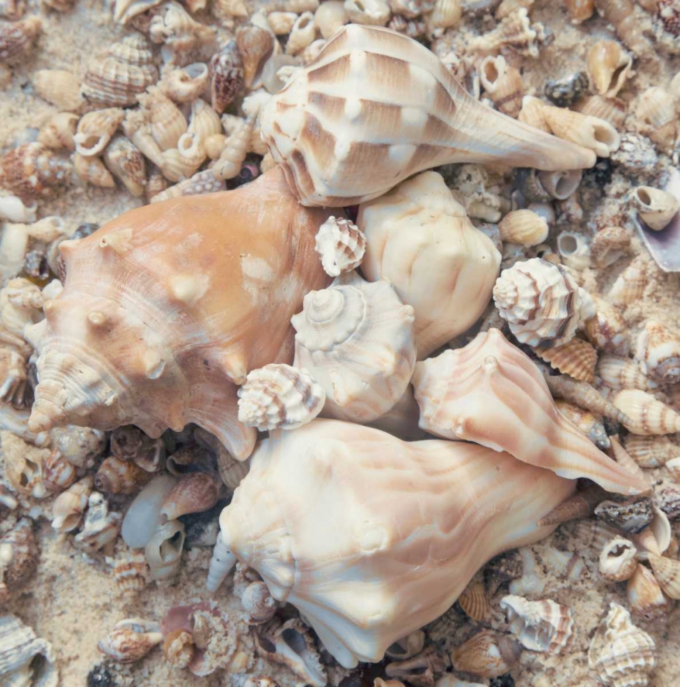 Similar wall art painting: 160045