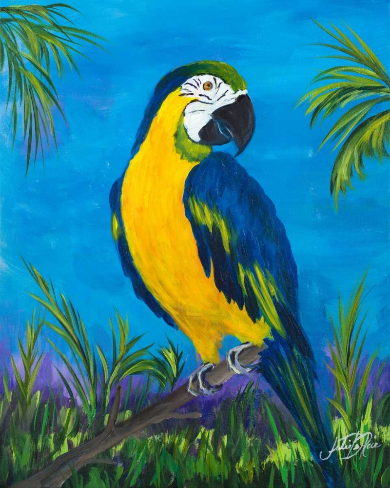 Wall Art Painting id:159300, Name: Island Birds II, Artist: DeRice, Julie