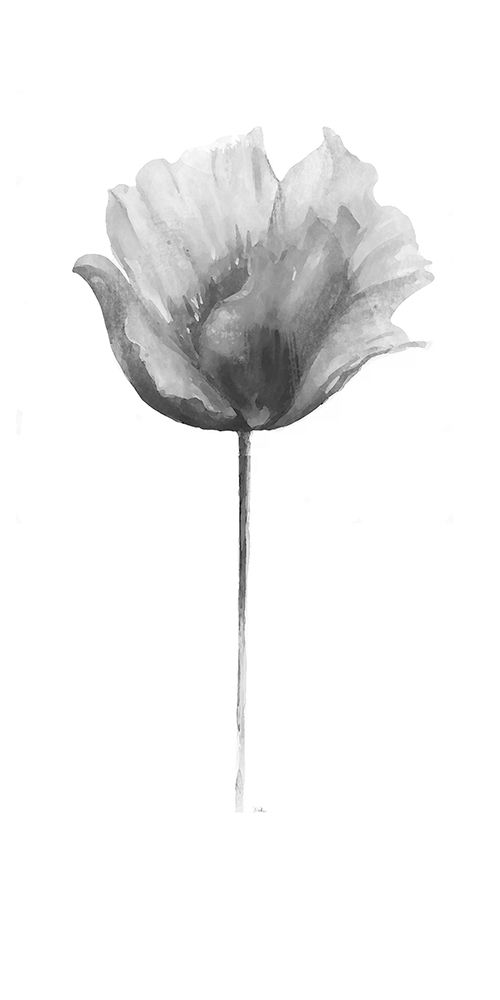 Wall Art Painting id:204886, Name: Flower in Gray Panel I, Artist: Pinto, Patricia