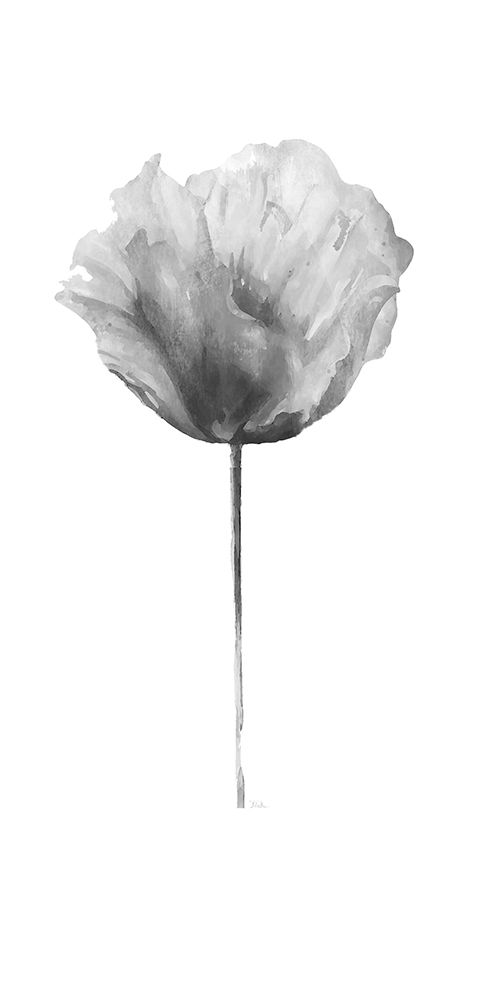 Wall Art Painting id:204887, Name: Flower in Gray Panel II, Artist: Pinto, Patricia
