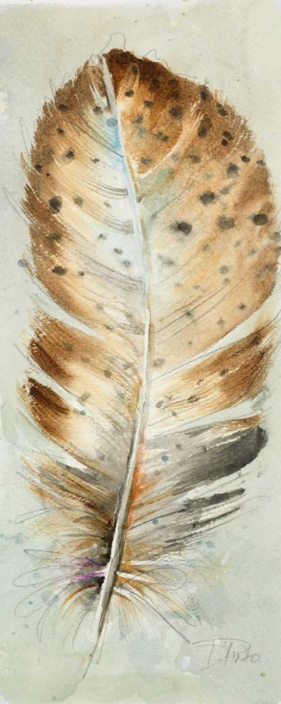 Wall Art Painting id:123087, Name: Watercolor Feather III, Artist: Pinto, Patricia