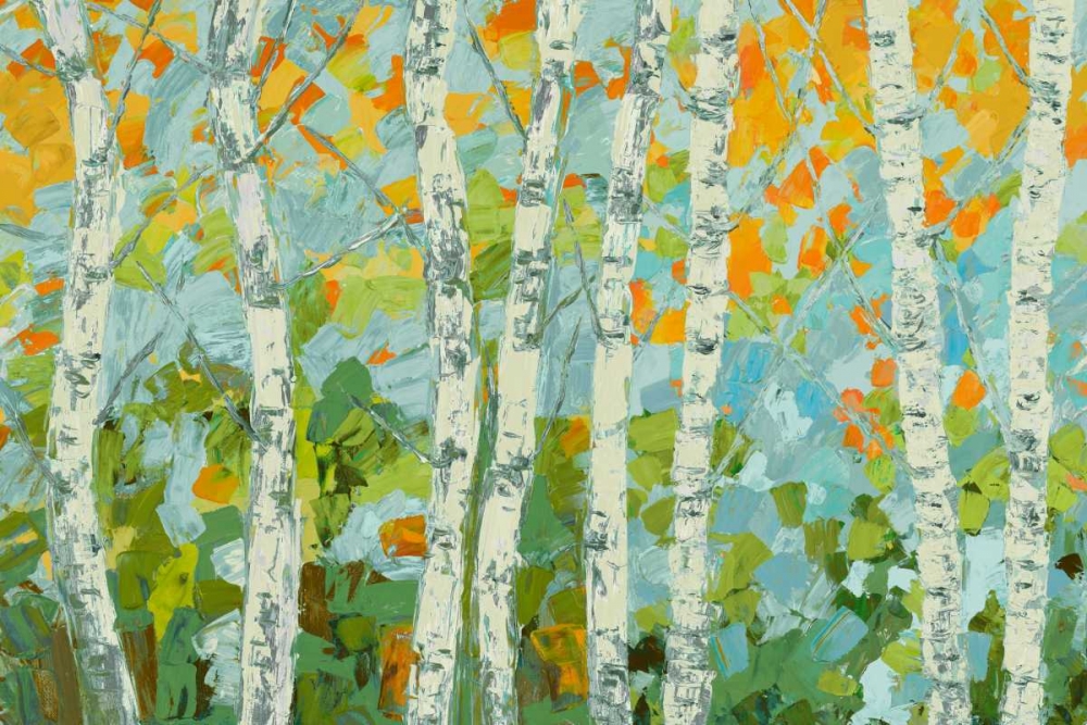 Wall Art Painting id:47664, Name: Autumn Dancing Birch Tree I, Artist: Coolick, Ann Marie