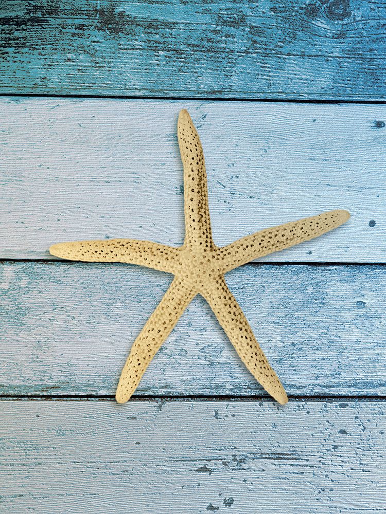 Similar wall art painting: 461355