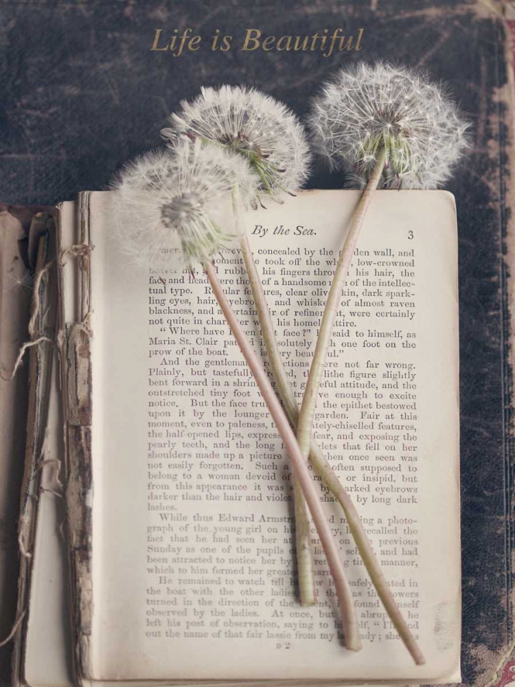 Similar wall art painting: 159206