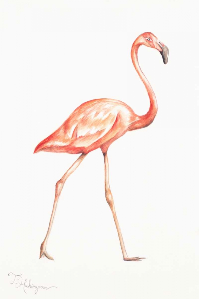 Wall Art Painting id:123831, Name: Flamingo Duo I, Artist: Hakimipour, Tiffany