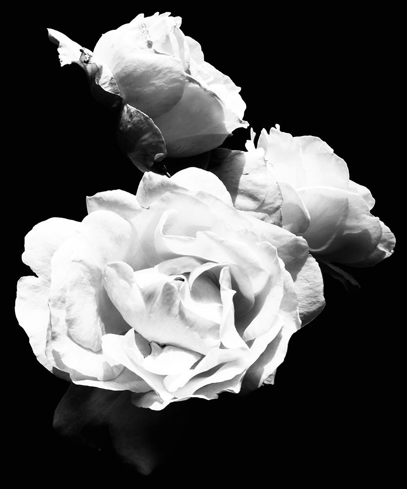 Similar wall art painting: 205253