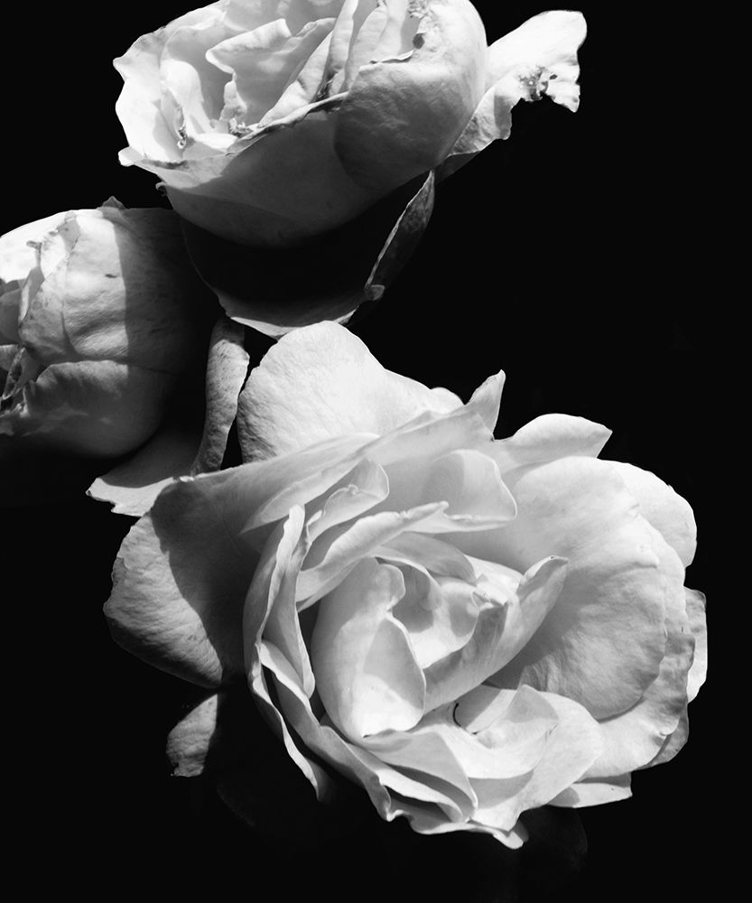 Similar wall art painting: 205258