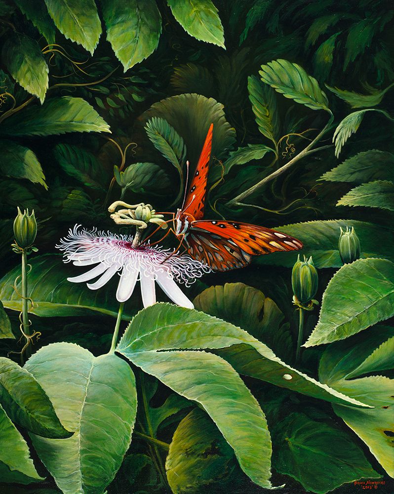 Wall Art Painting id:461419, Name: Snacking Butterfly, Artist: Nawrocke, Bruce