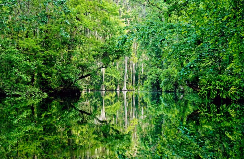 Similar wall art painting: 159980