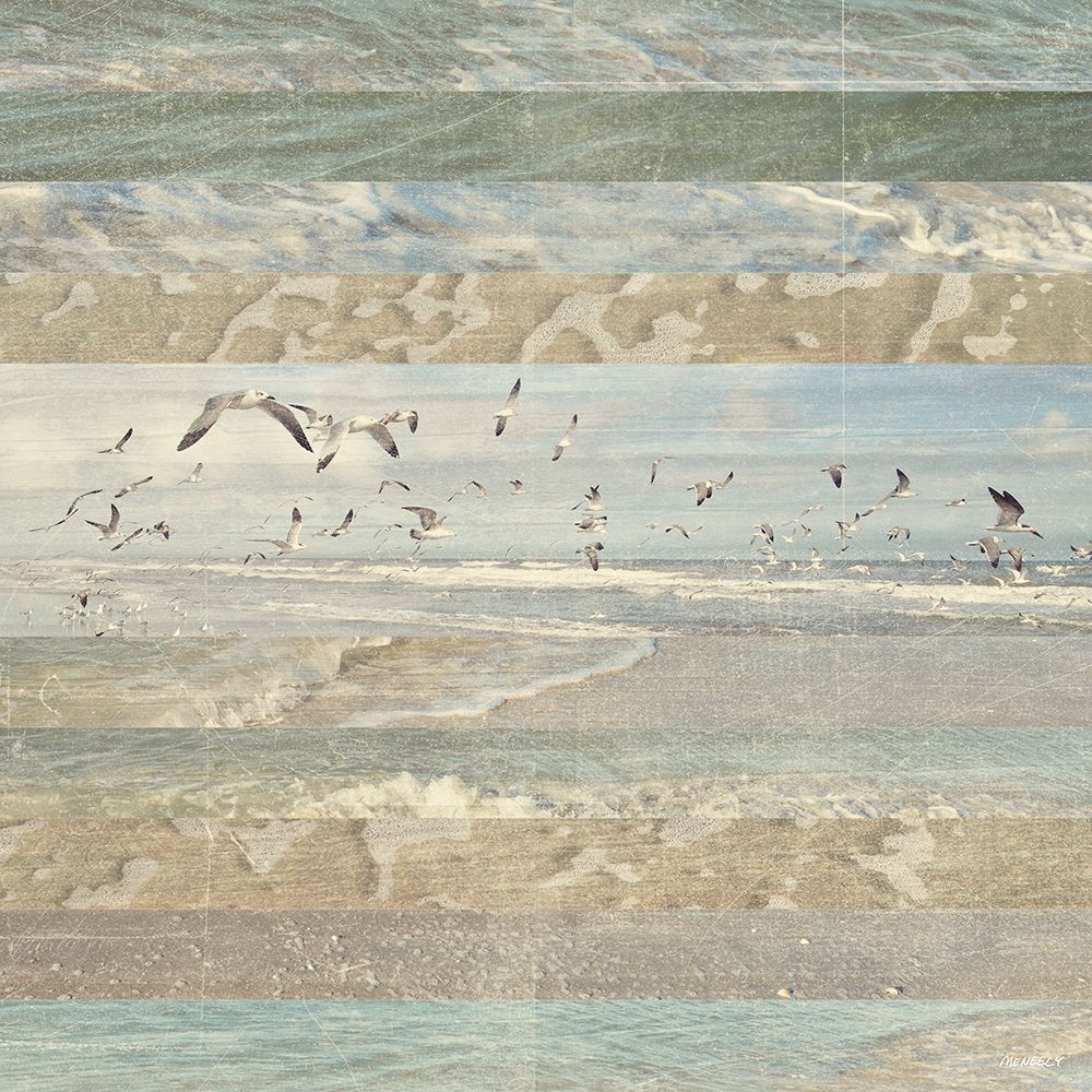Wall Art Painting id:205384, Name: Flying Beach Birds I, Artist: Meneely, Dan