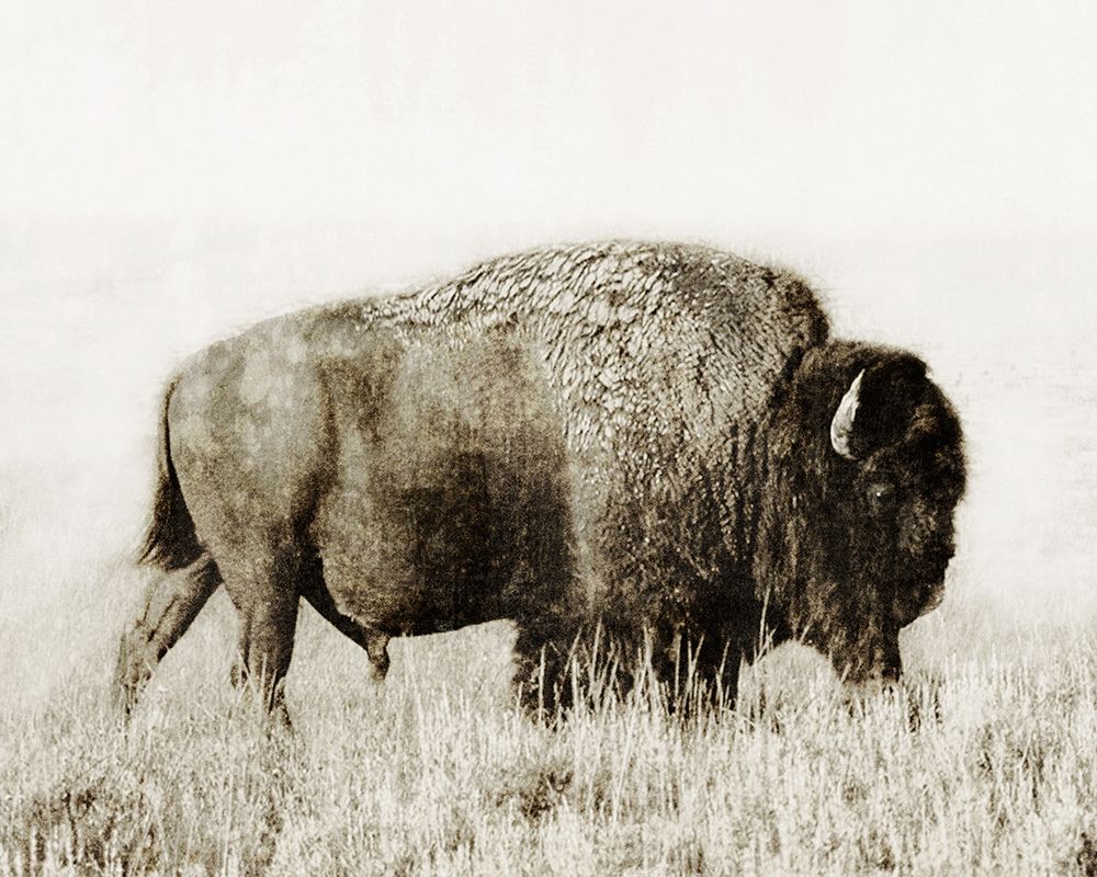 Similar wall art painting: 728272