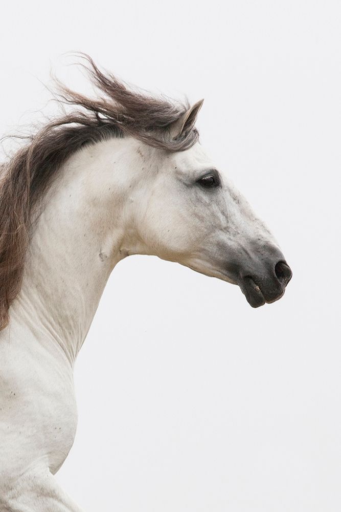 Similar wall art painting: 381302