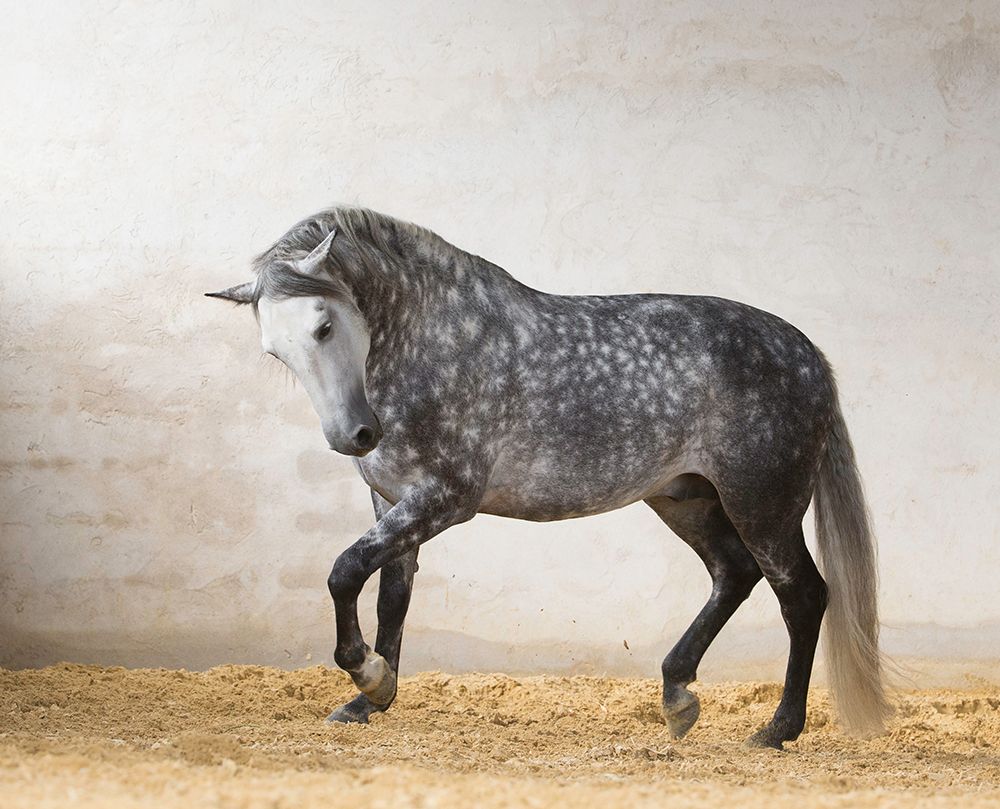 Similar wall art painting: 523761