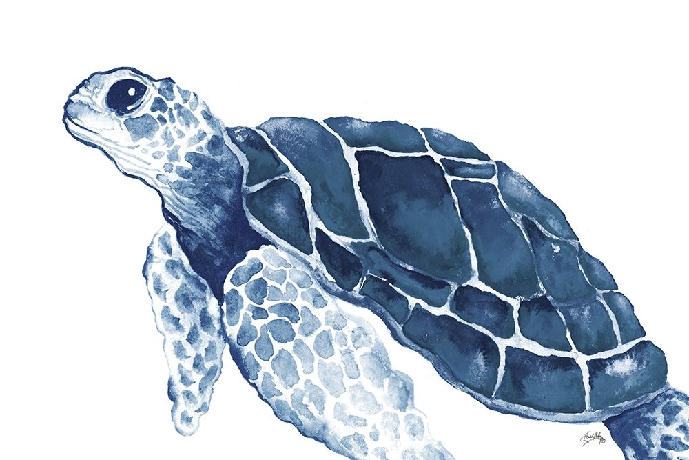 Wall Art Painting id:309306, Name: Turtle in the Blues, Artist: Medley, Elizabeth