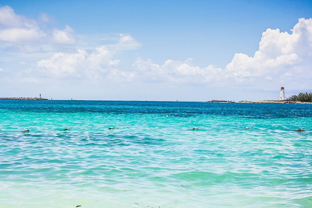 Similar wall art painting: 205549