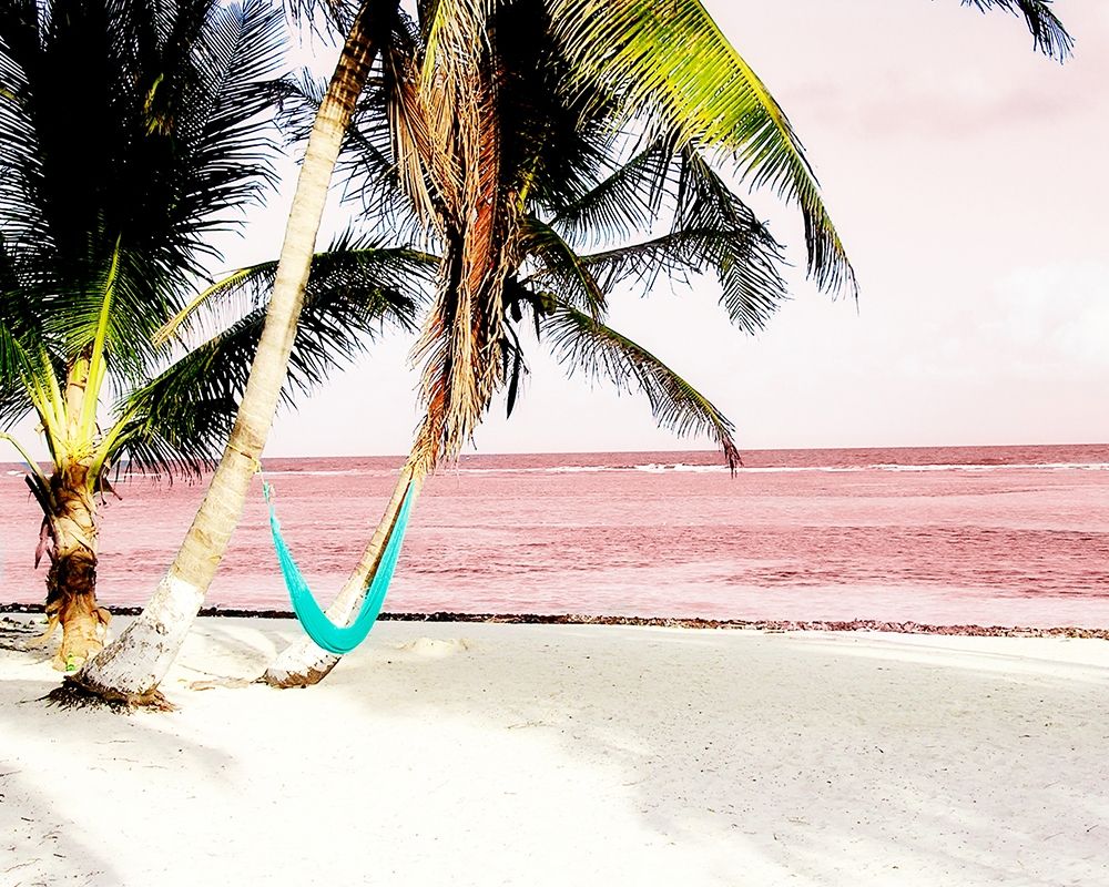 Wall Art Painting id:400724, Name: Hammock Paradise in Pink, Artist: Navas, Emily