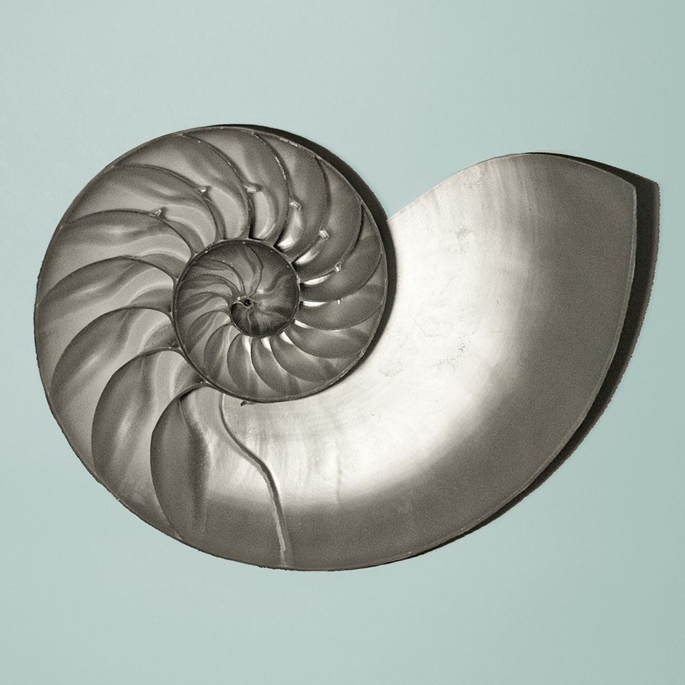 Similar wall art painting: 400922