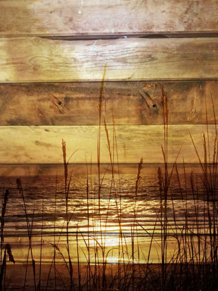 Wall Art Painting id:123972, Name: By The Grass Sunset Wood, Artist: Peck, Gail