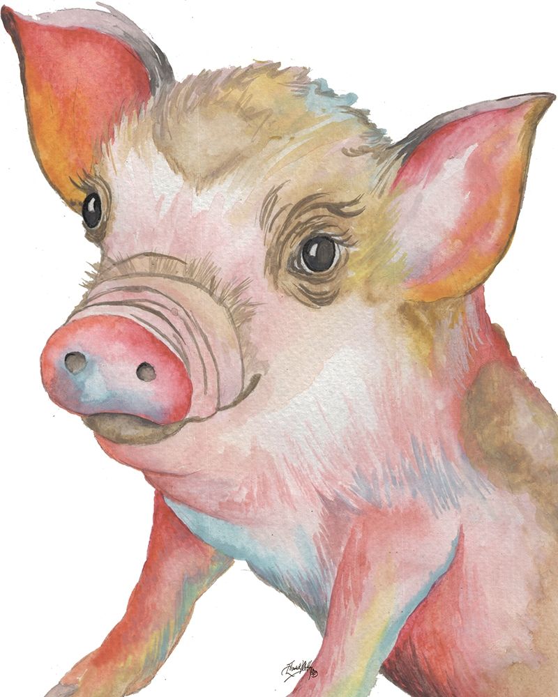 Wall Art Painting id:205797, Name: Pig II, Artist: Medley, Elizabeth