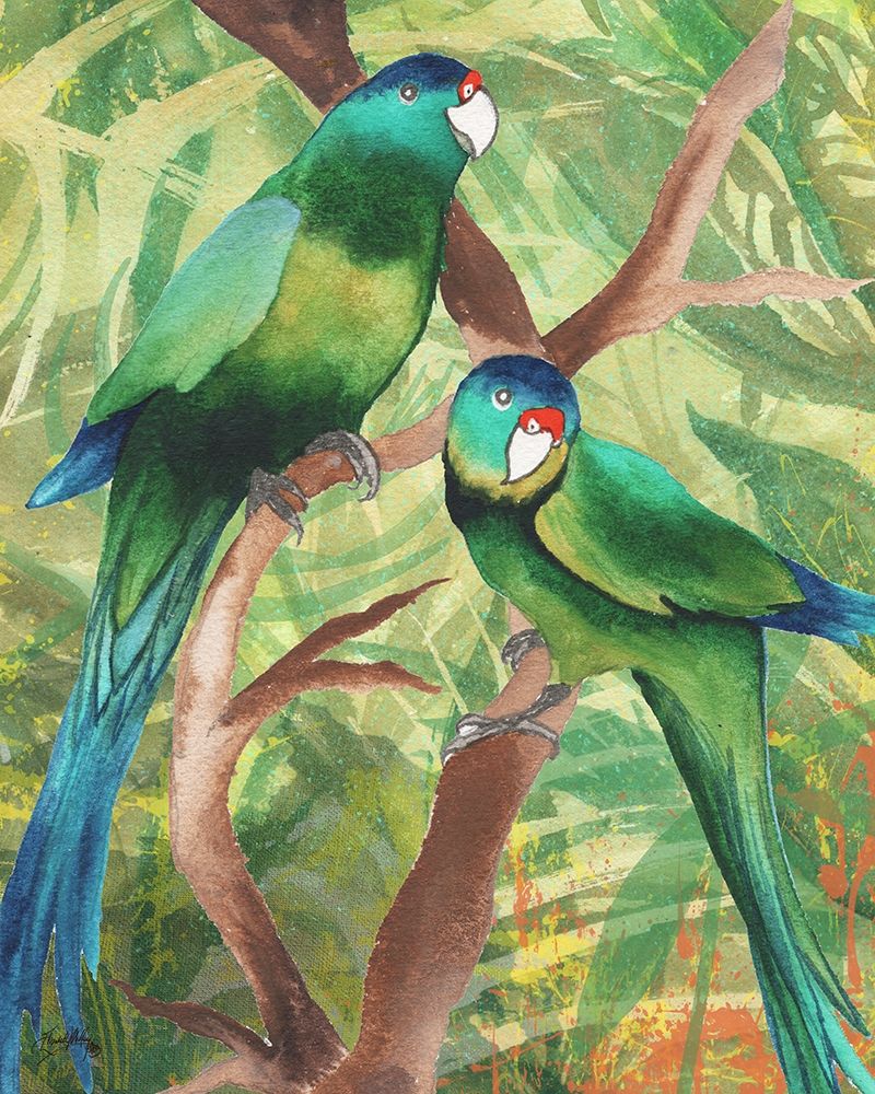 Wall Art Painting id:205863, Name: Tropical Birds II, Artist: Medley, Elizabeth