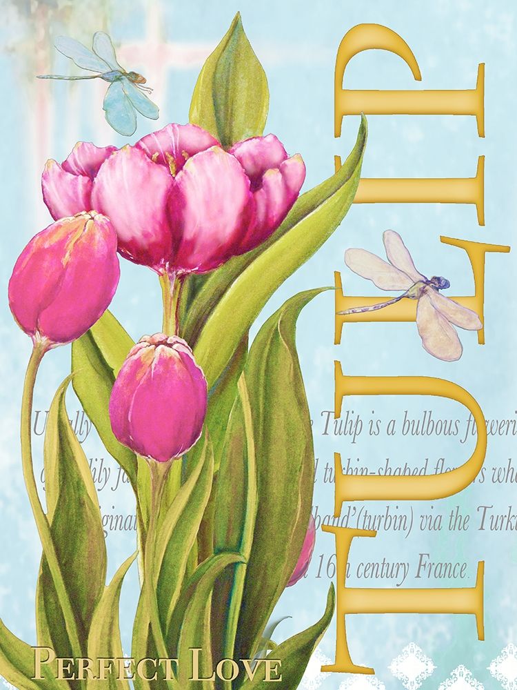 Wall Art Painting id:206461, Name: Elegant Tulip II, Artist: Diannart
