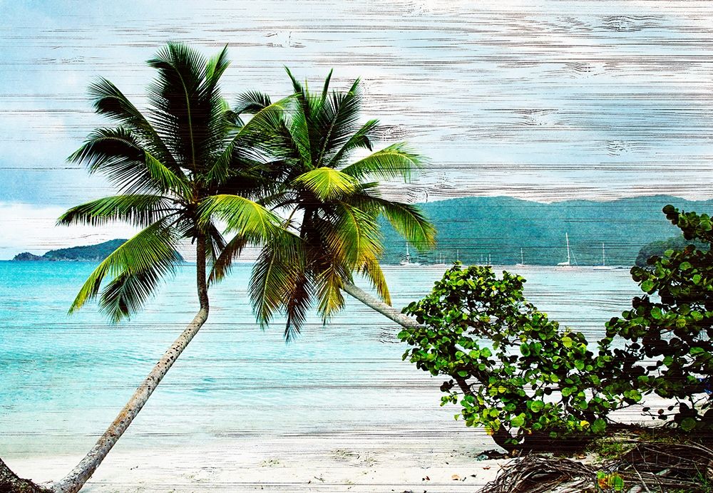 Wall Art Painting id:206495, Name: Hanging Palms on Wood, Artist: Mansfield, Kathy