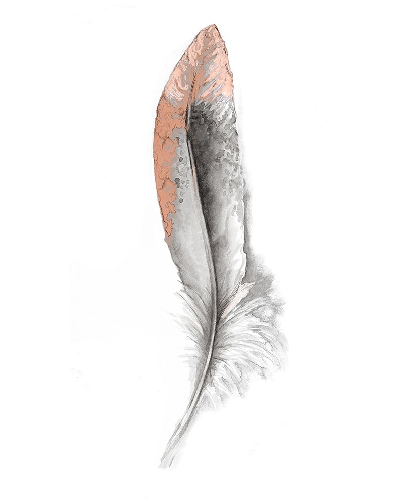 Wall Art Painting id:206514, Name: Soft Feather I, Artist: Diannart