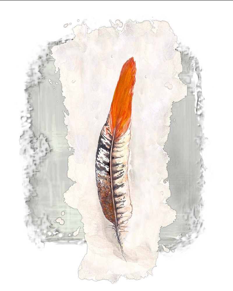 Wall Art Painting id:206512, Name: Simple Feather II, Artist: Diannart