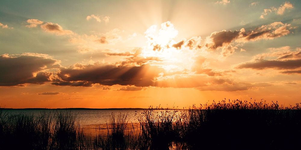 Similar wall art painting: 206710