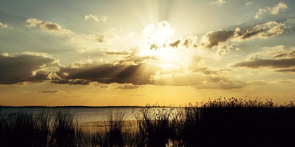 Similar wall art painting: 206709