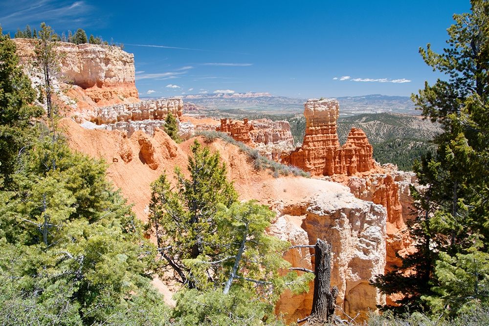 Similar wall art painting: 206713