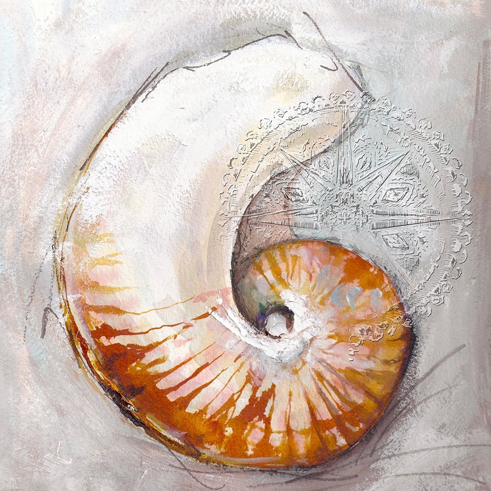 Wall Art Painting id:206754, Name: Pearl Shell Medley I, Artist: Diannart