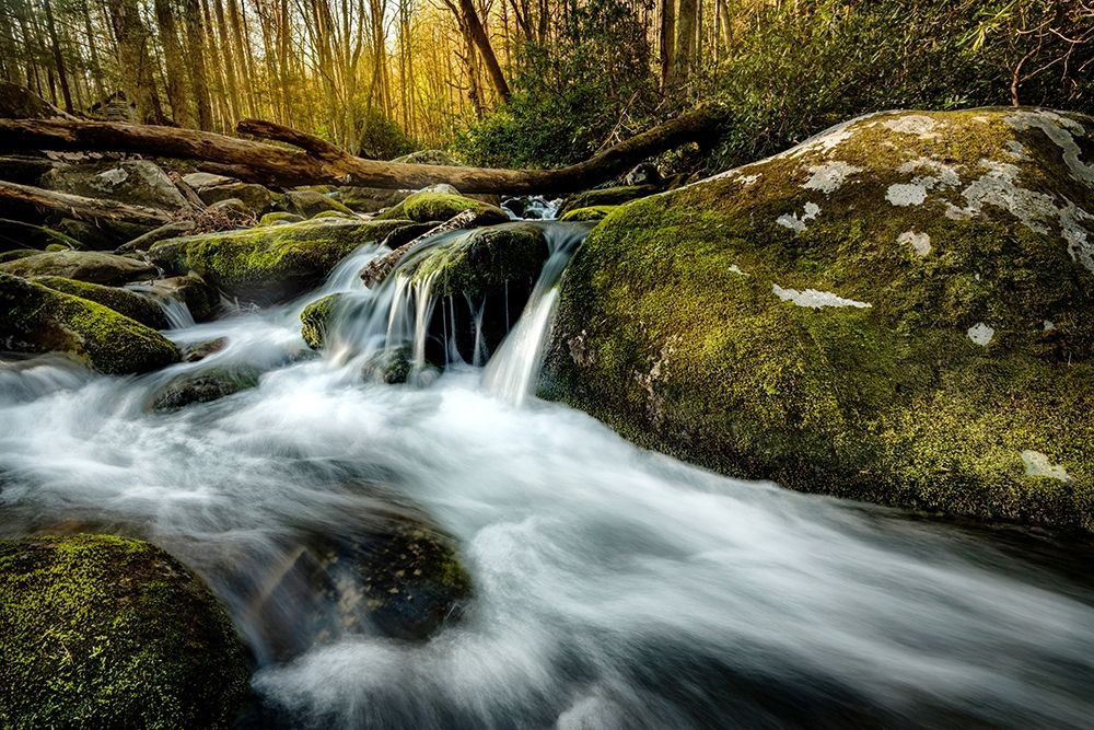 Similar wall art painting: 206804