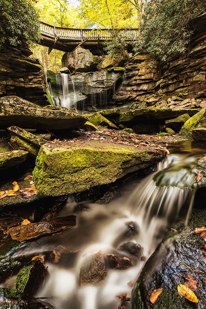 Similar wall art painting: 206812