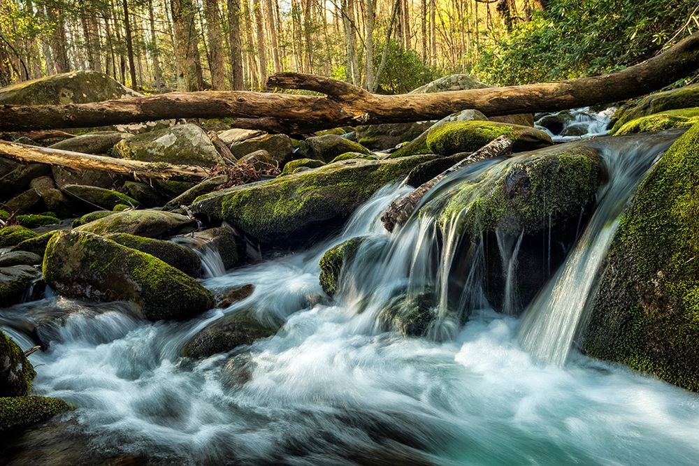 Similar wall art painting: 206826