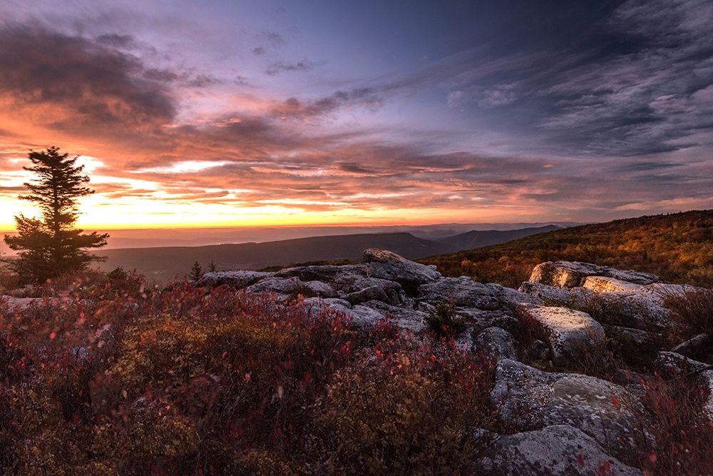 Wall Art Painting id:206829, Name: Sunrise in Fall III, Artist: Amos, Andy