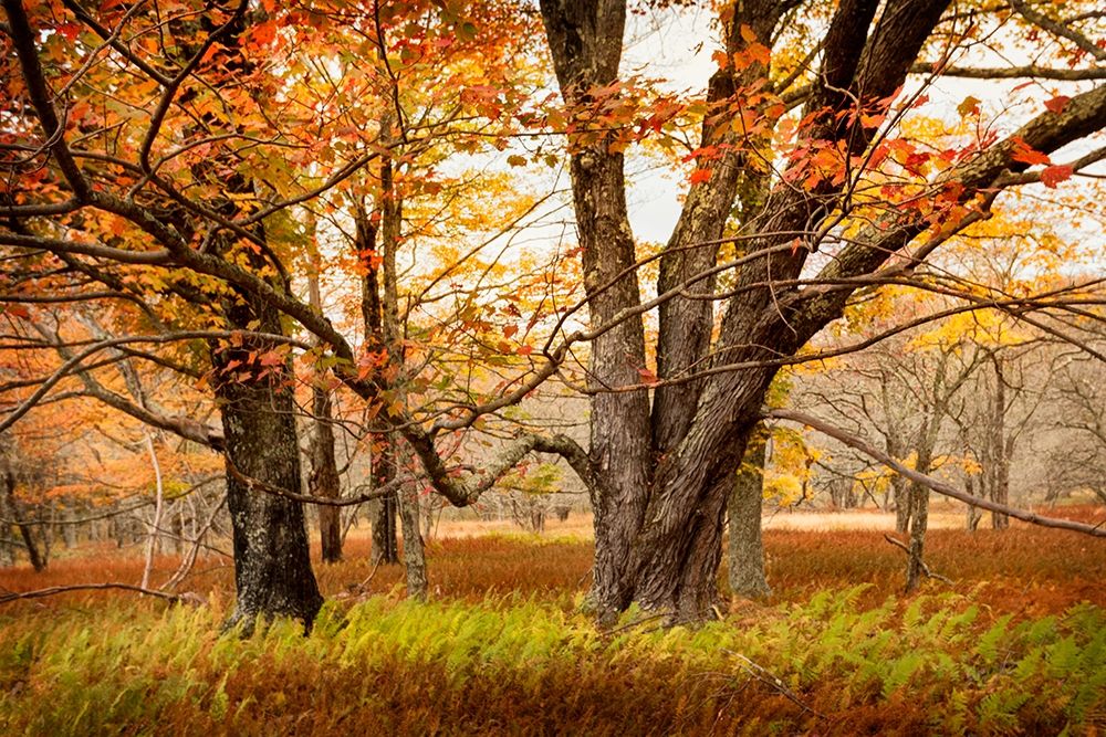 Similar wall art painting: 206831