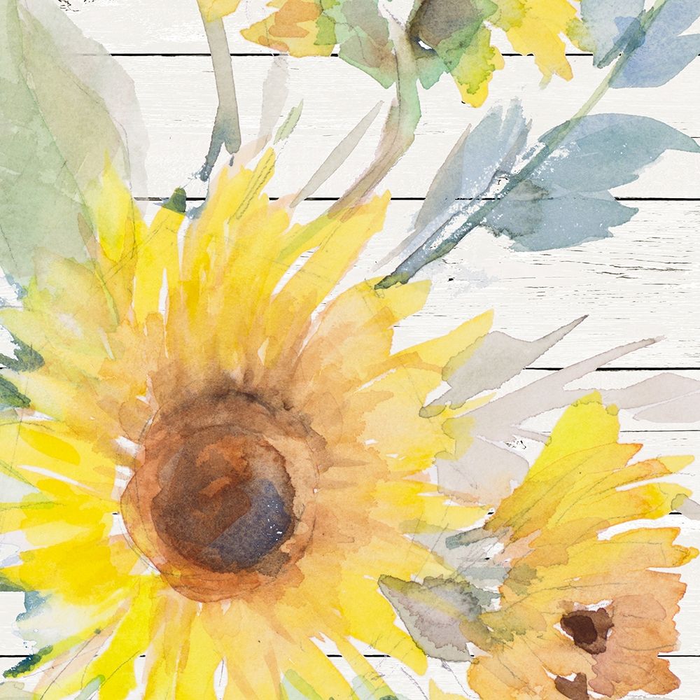 Wall Art Painting id:309735, Name: Blooming Sunflower Square II, Artist: Loreth, Lanie
