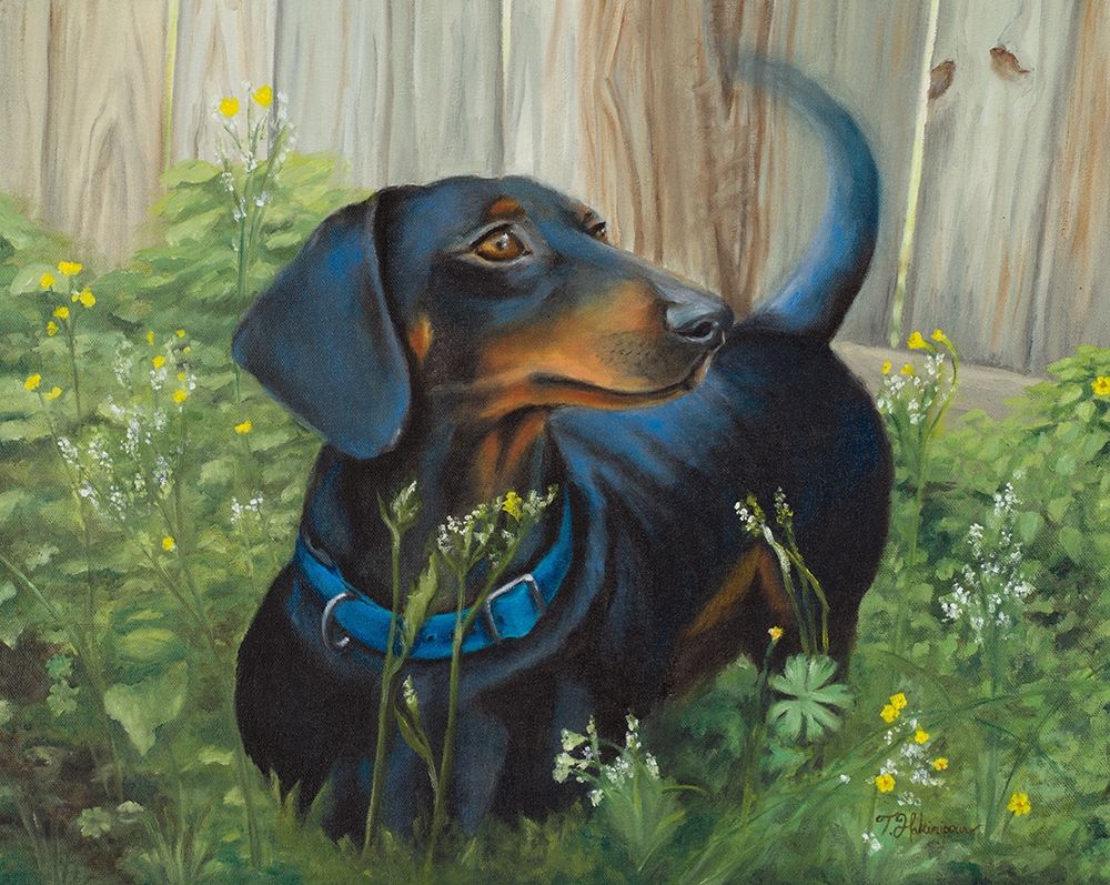 Wall Art Painting id:381638, Name: Dachshund, Artist: Hakimipour, Tiffany