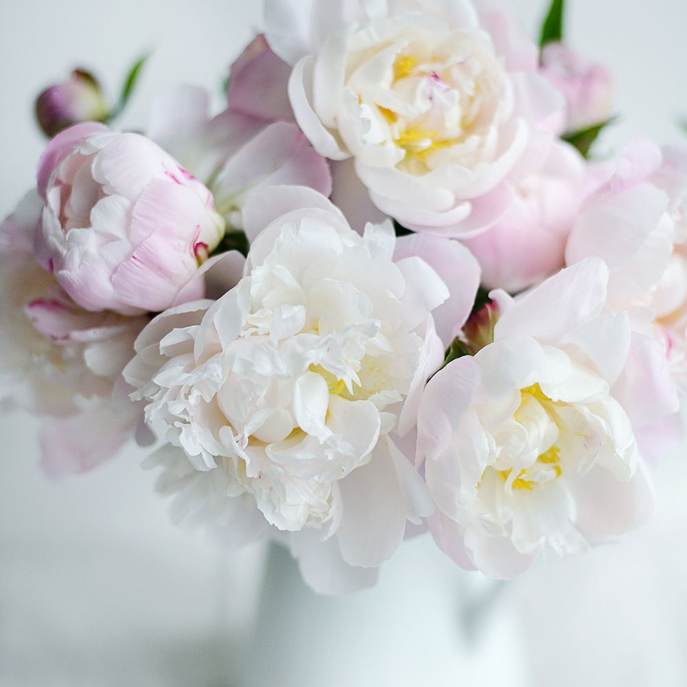 Similar wall art painting: 524108