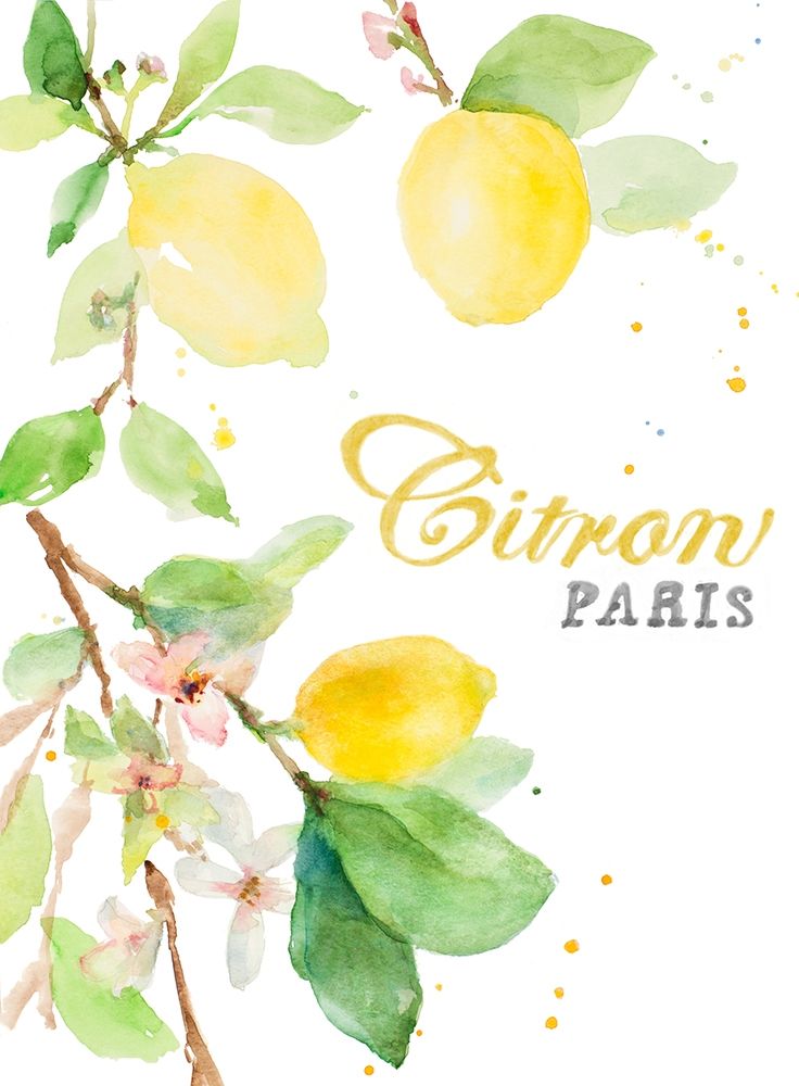 Wall Art Painting id:382103, Name: Spring Citron In Paris, Artist: Loreth, Lanie