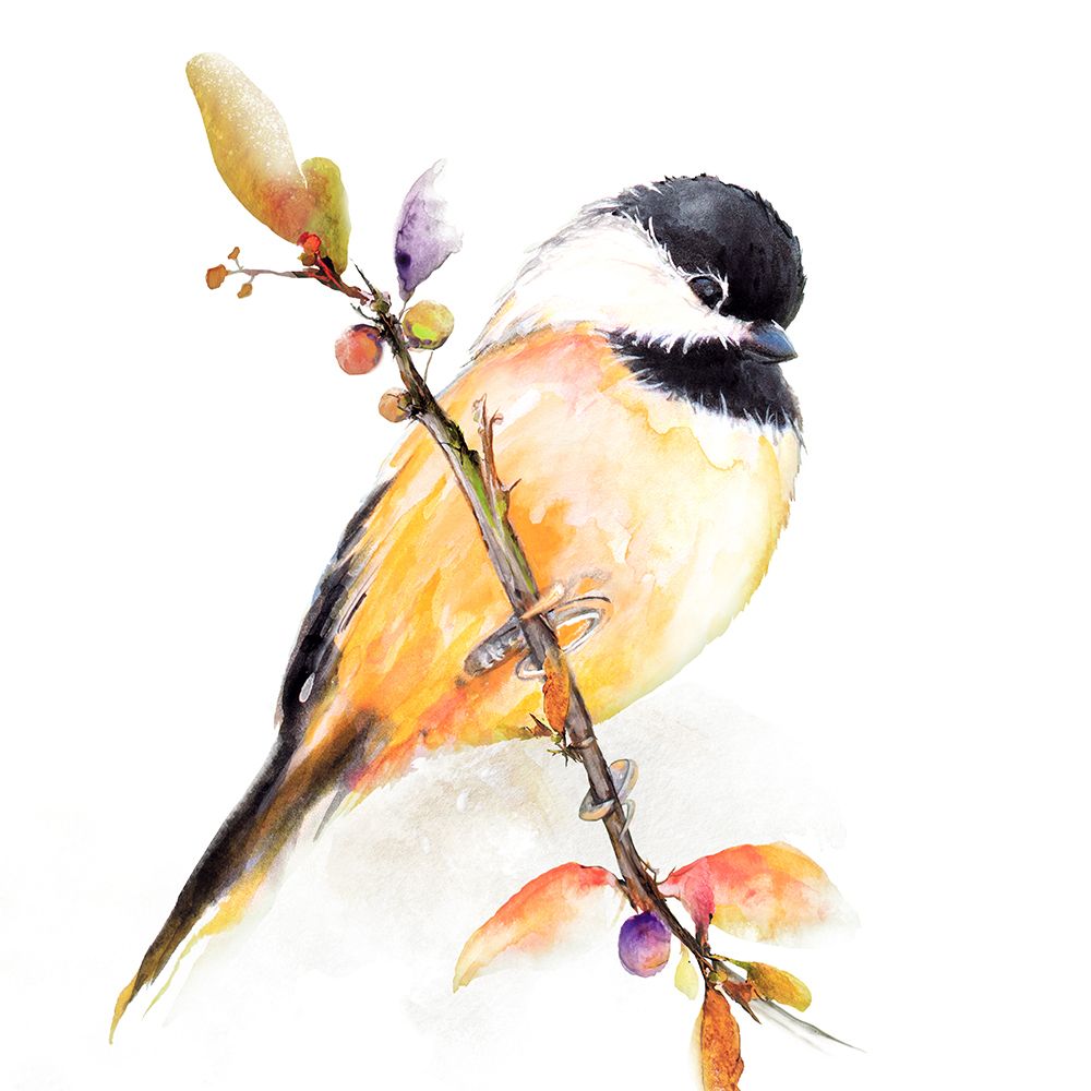 Wall Art Painting id:462266, Name: Watercolor Chickadee I, Artist: Diannart