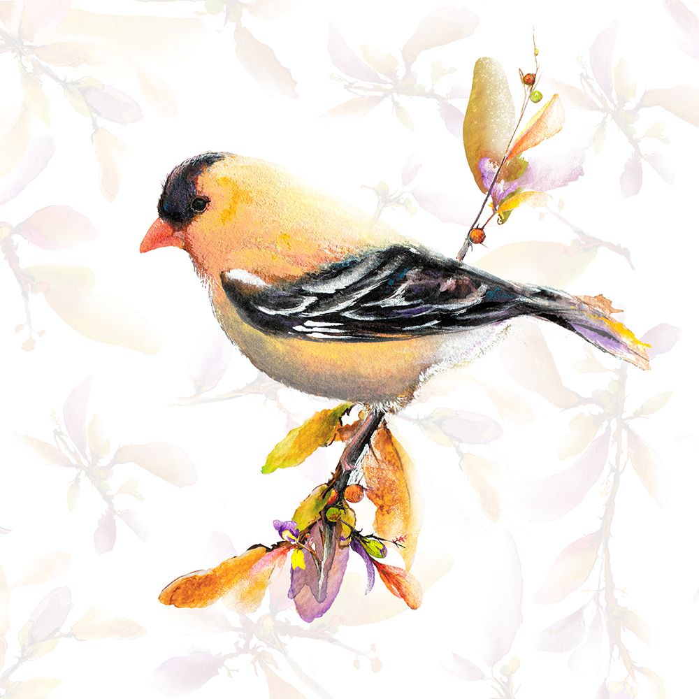 Wall Art Painting id:462269, Name: Watercolor Chickadee IV, Artist: Diannart