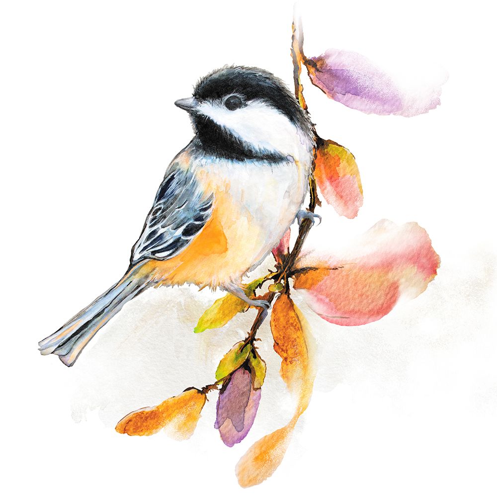 Wall Art Painting id:462268, Name: Watercolor Chickadee II, Artist: Diannart