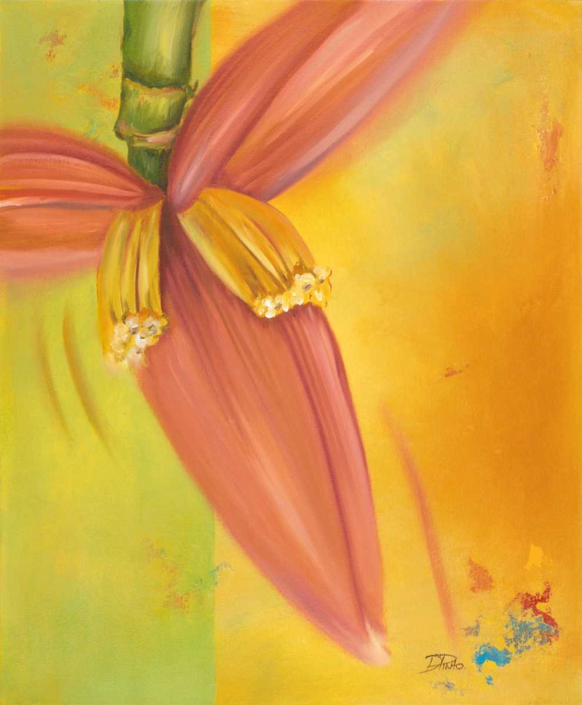 Wall Art Painting id:23387, Name: Exotica II, Artist: Pinto, Patricia