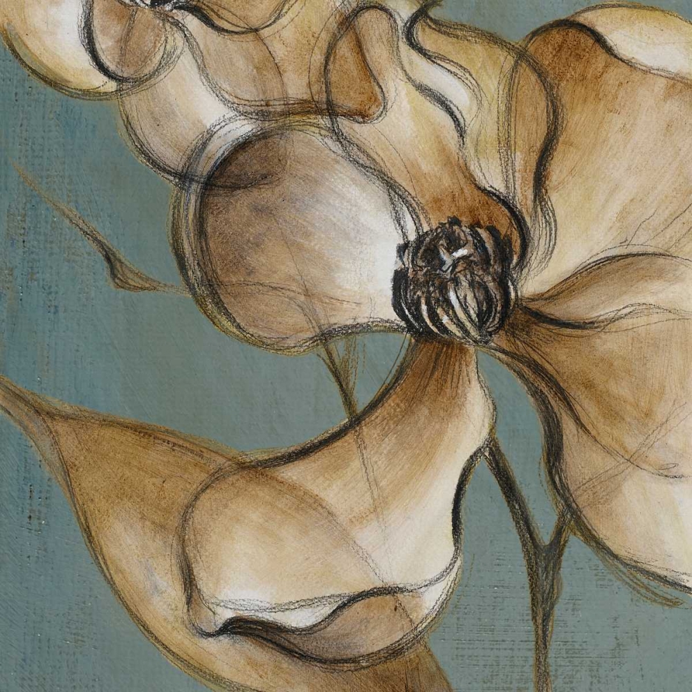 Wall Art Painting id:32478, Name: Translucent Magnolias, Artist: Loreth, Lanie