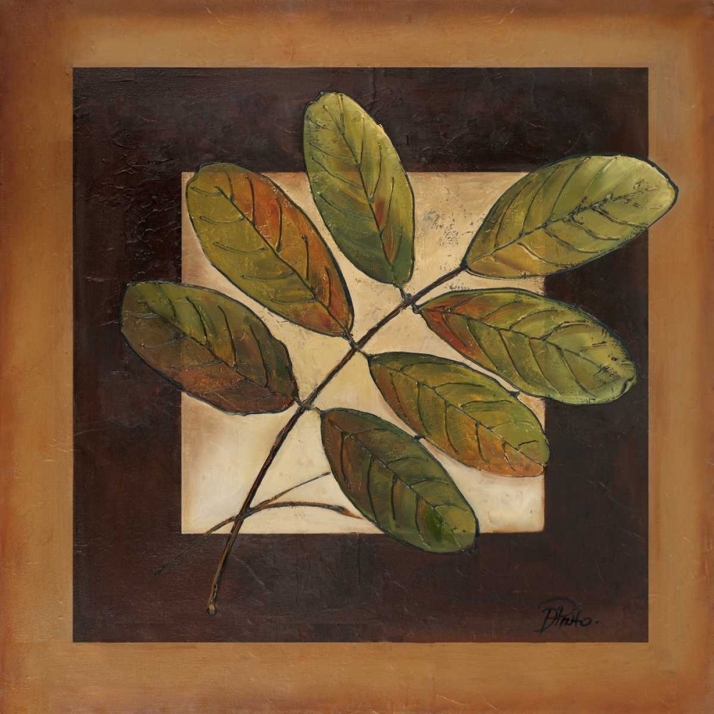 Wall Art Painting id:51429, Name: Leaves Over Brown II, Artist: Pinto, Patricia