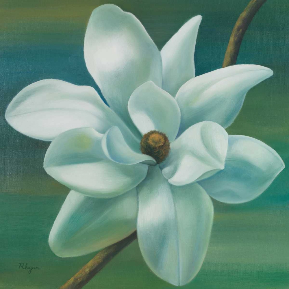 Wall Art Painting id:15236, Name: Star Magnolia, Artist: Rhyan, Vivien